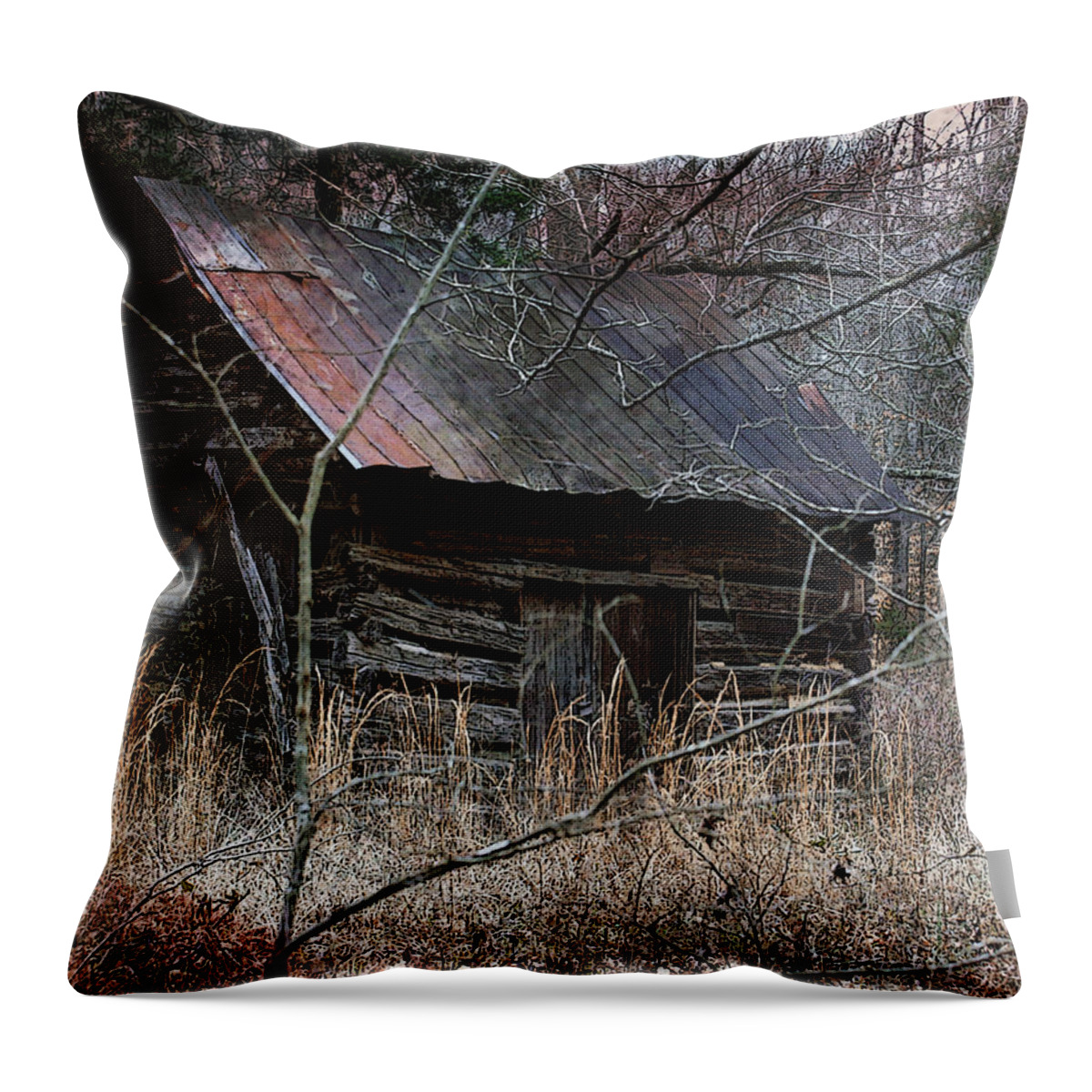 Cabin Throw Pillow featuring the photograph Cabin in the Woods by TnBackroadsPhotos 