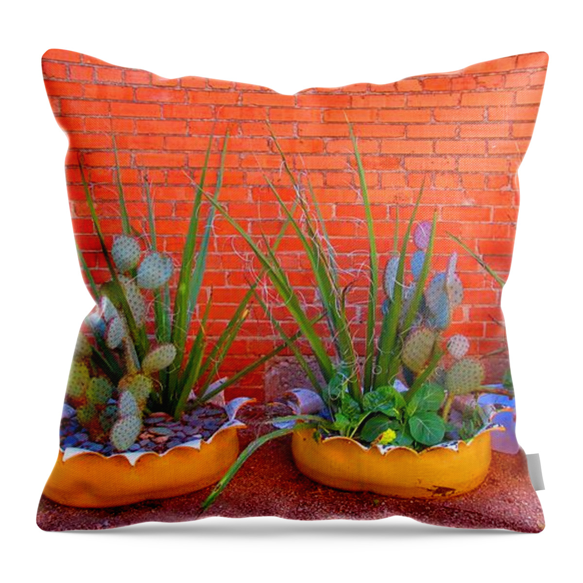 Cactus Throw Pillow featuring the digital art Cacti Quartet by Alec Drake