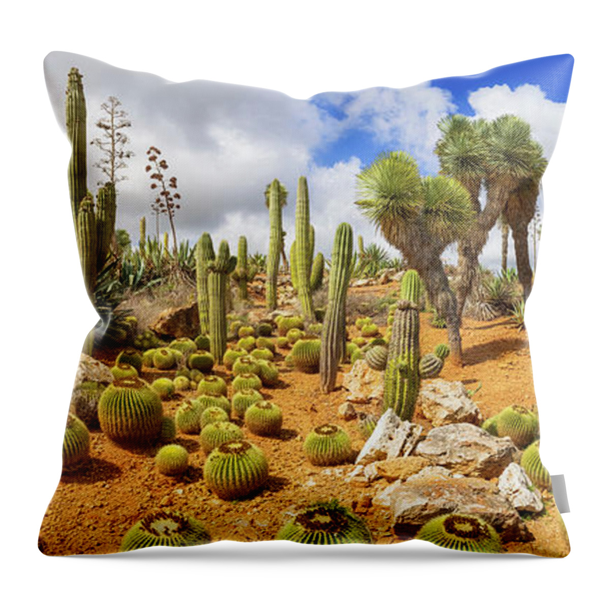 Saguaro Cactus Throw Pillow featuring the photograph Cactus Country by Cinoby