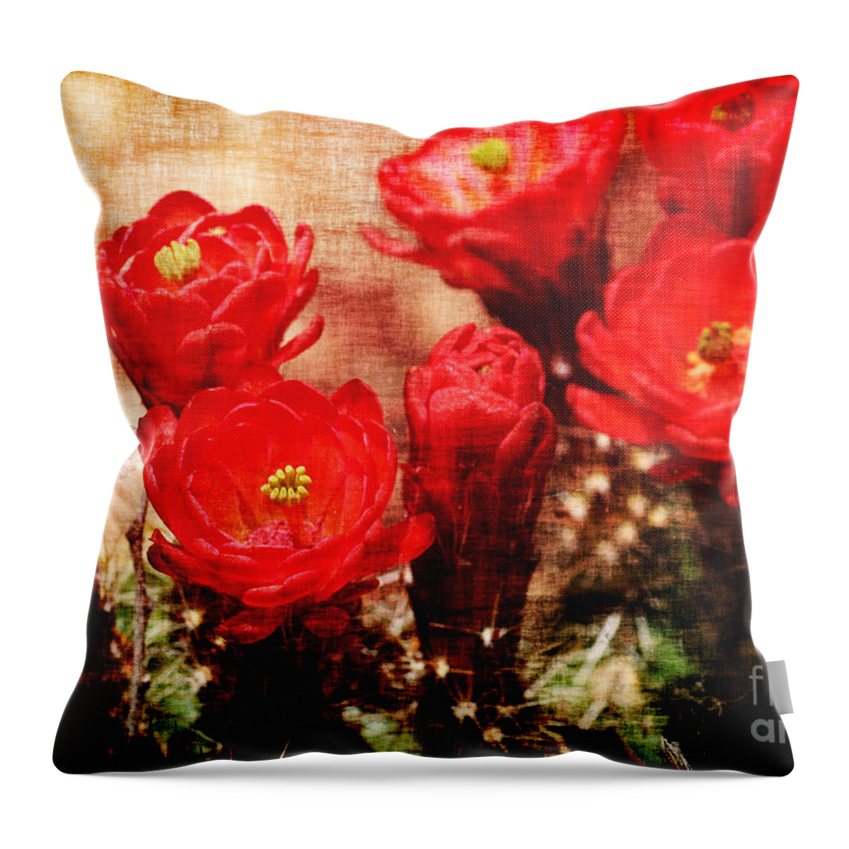 Cactus Throw Pillow featuring the photograph Cactus Flowers by Julie Lueders 