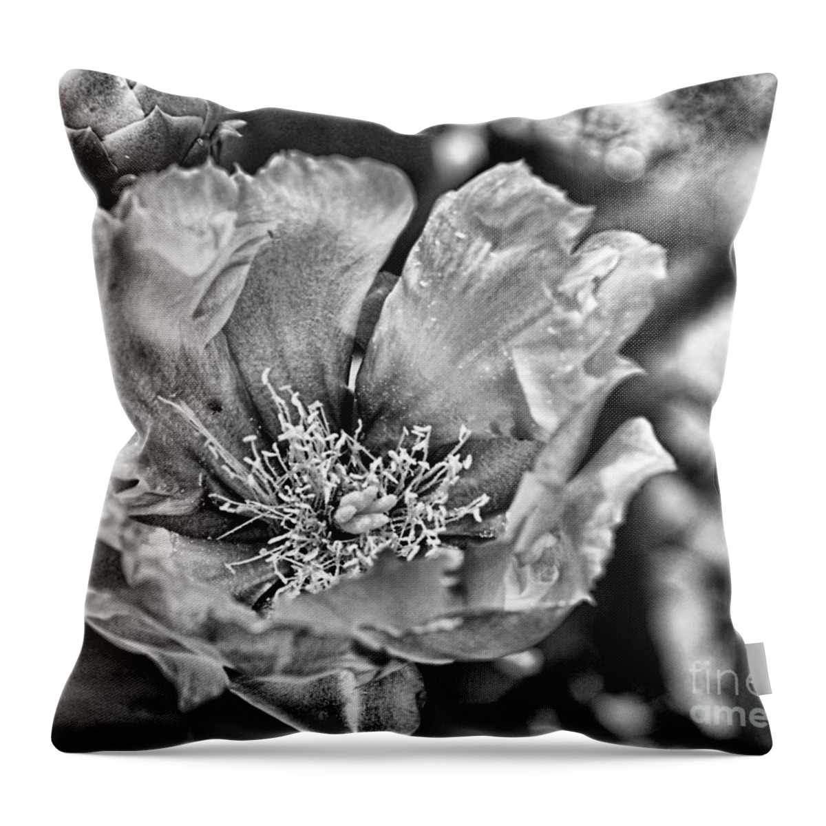 Pear Cactus Throw Pillow featuring the digital art Cactus - Pear Cactus Bloom1 - Luther Fine Art by Luther Fine Art