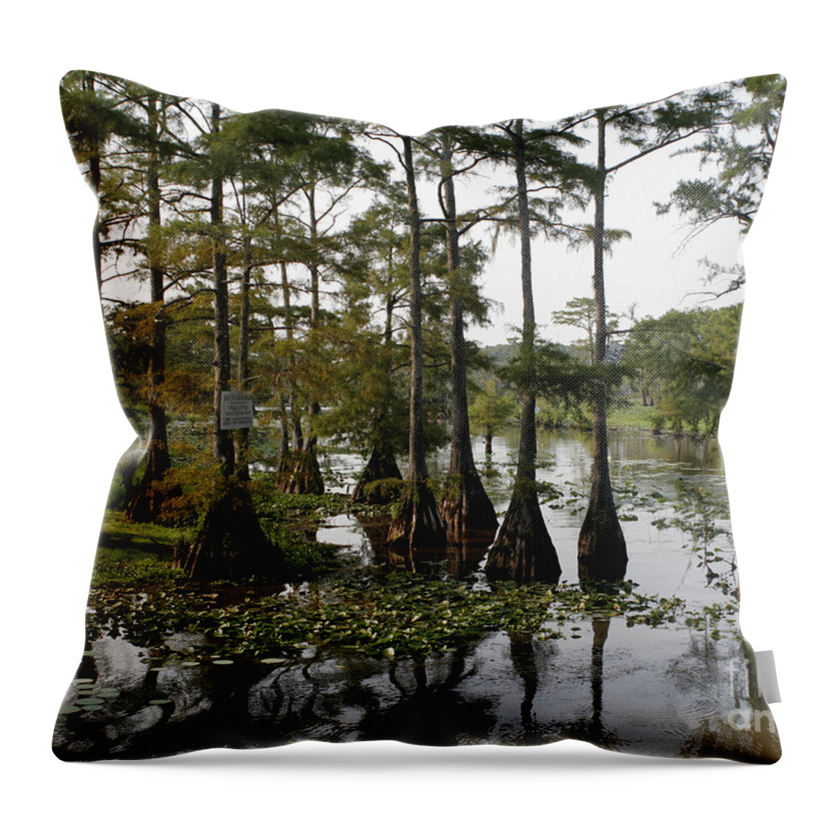 Caddo Throw Pillow featuring the photograph Caddo Lake Bayou 8 by Paul Anderson
