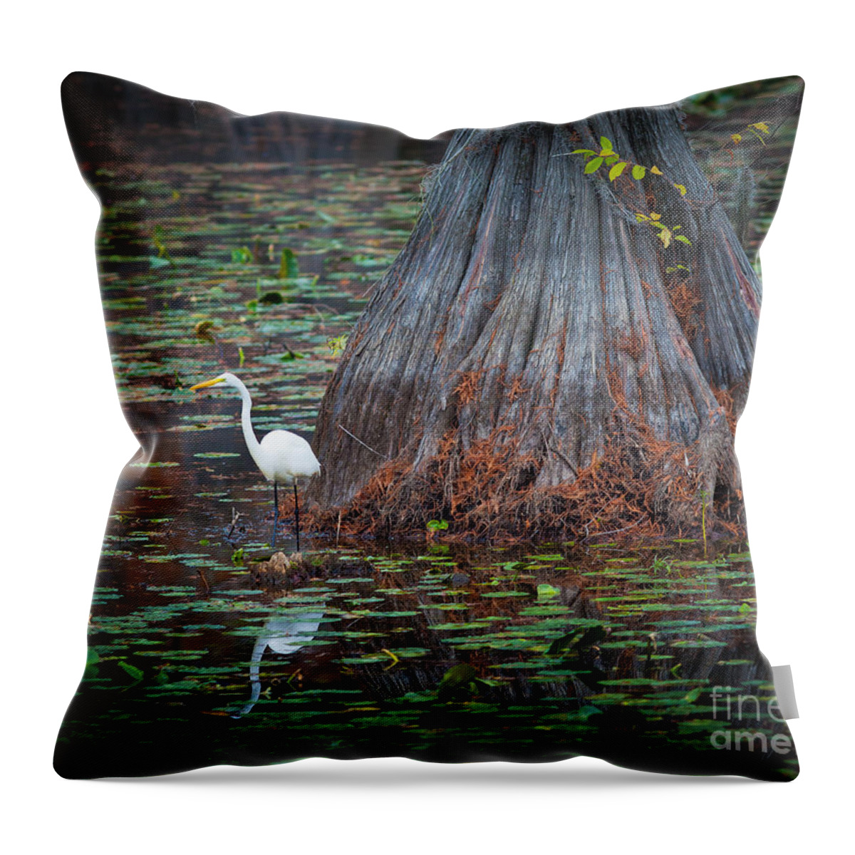 America Throw Pillow featuring the photograph Caddo Lake Egret by Inge Johnsson