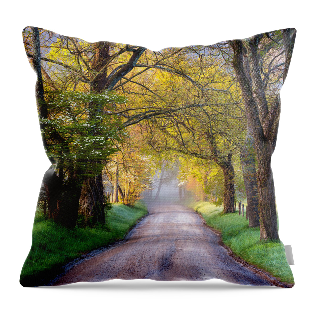 Cades Cove Throw Pillow featuring the photograph Cades Cove Great Smoky Mountains National Park - Sparks Lane by Dave Allen