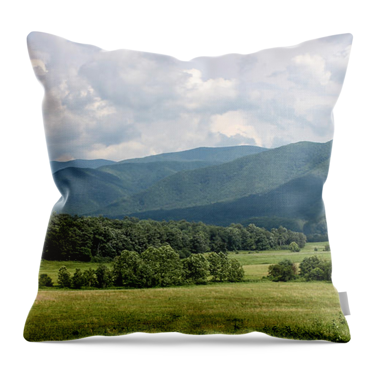 Landscape Throw Pillow featuring the photograph Cades Cove In Summer by Todd Blanchard