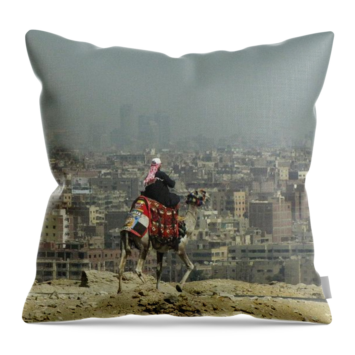 Camel Throw Pillow featuring the photograph Cairo Egypt by Jennifer Wheatley Wolf