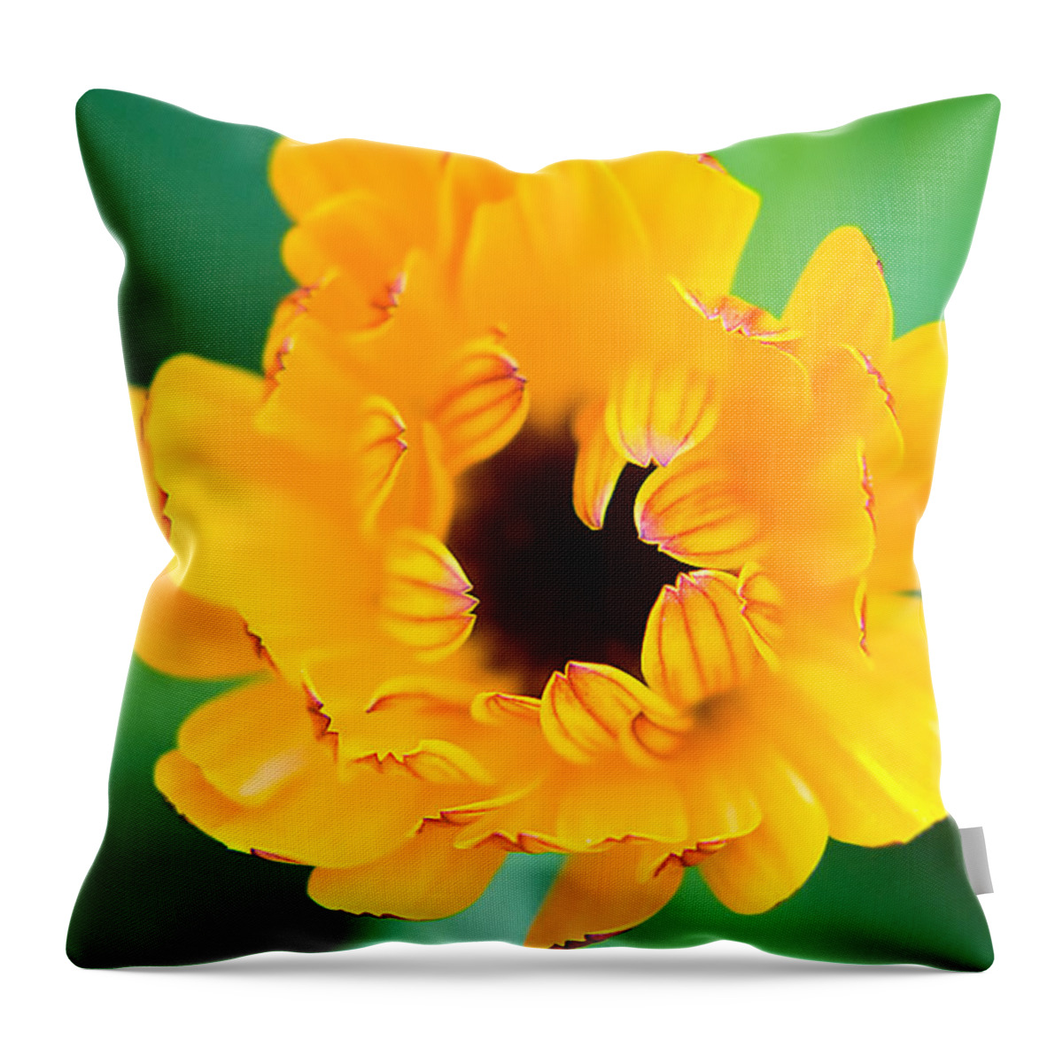 Yellow Throw Pillow featuring the photograph Calendula by Lisa Chorny