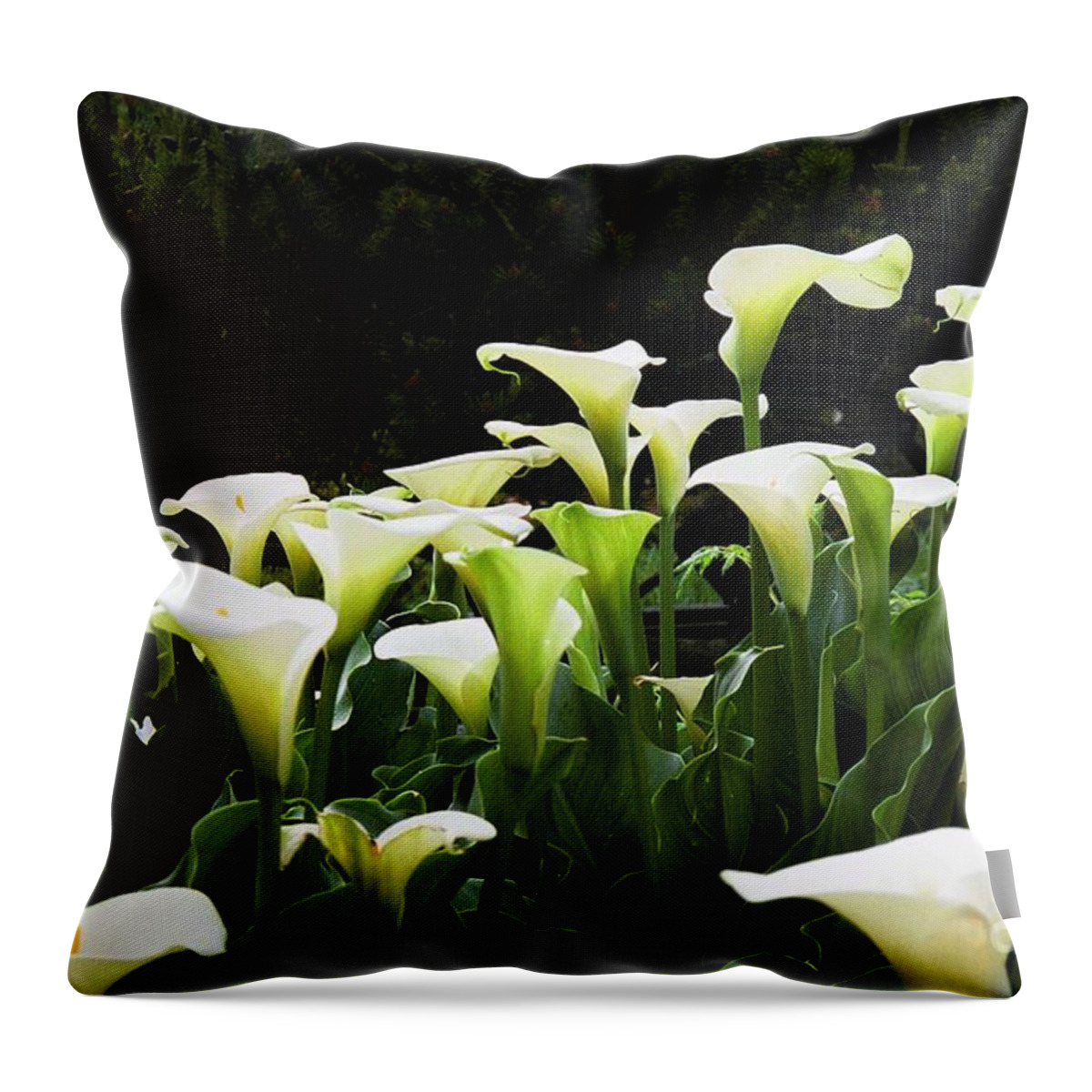 Flowers Throw Pillow featuring the photograph Cali Lily by Kim Prowse