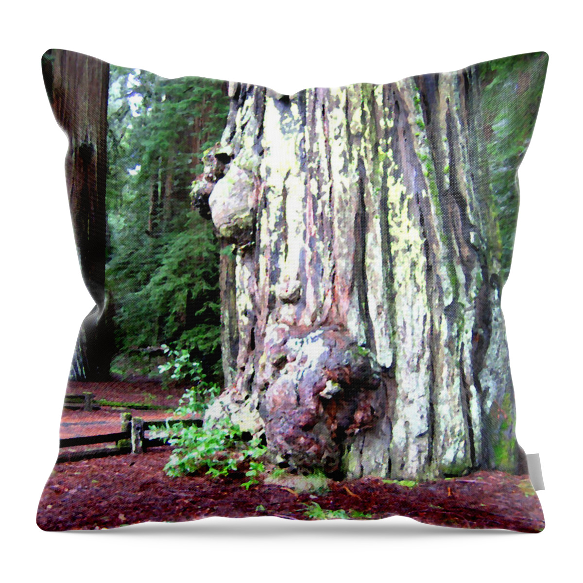California Redwoods 4 Throw Pillow featuring the digital art California Redwoods 4 by Will Borden
