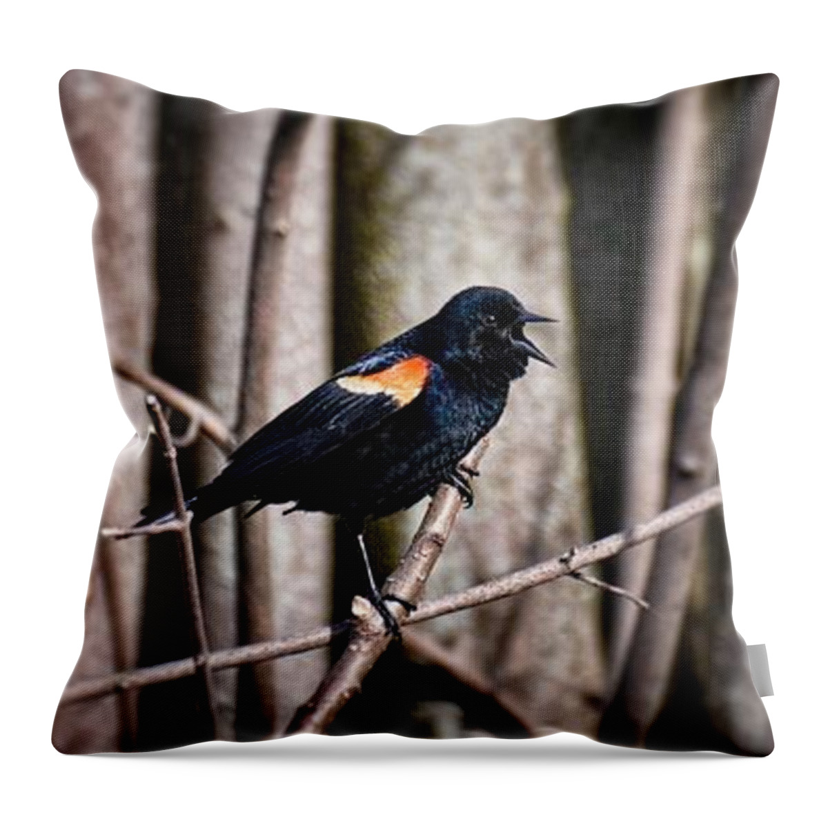Red-winged Blackbird Throw Pillow featuring the photograph Call of the Red Winged Blackbird by Henry Kowalski