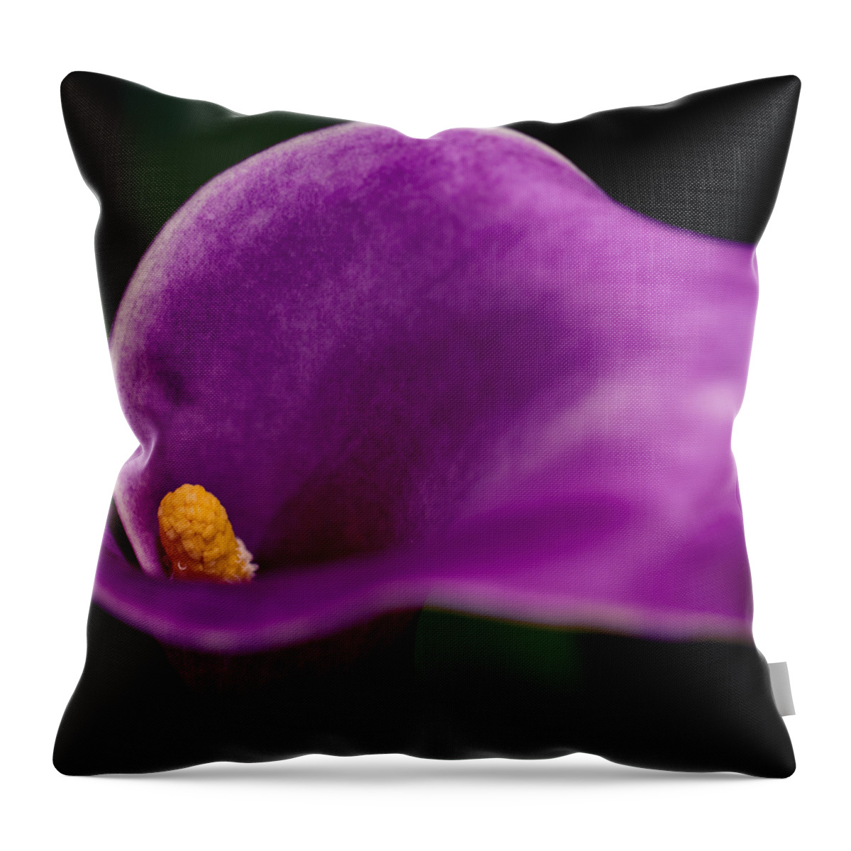 Blossom Throw Pillow featuring the photograph Calla Curves by Christi Kraft