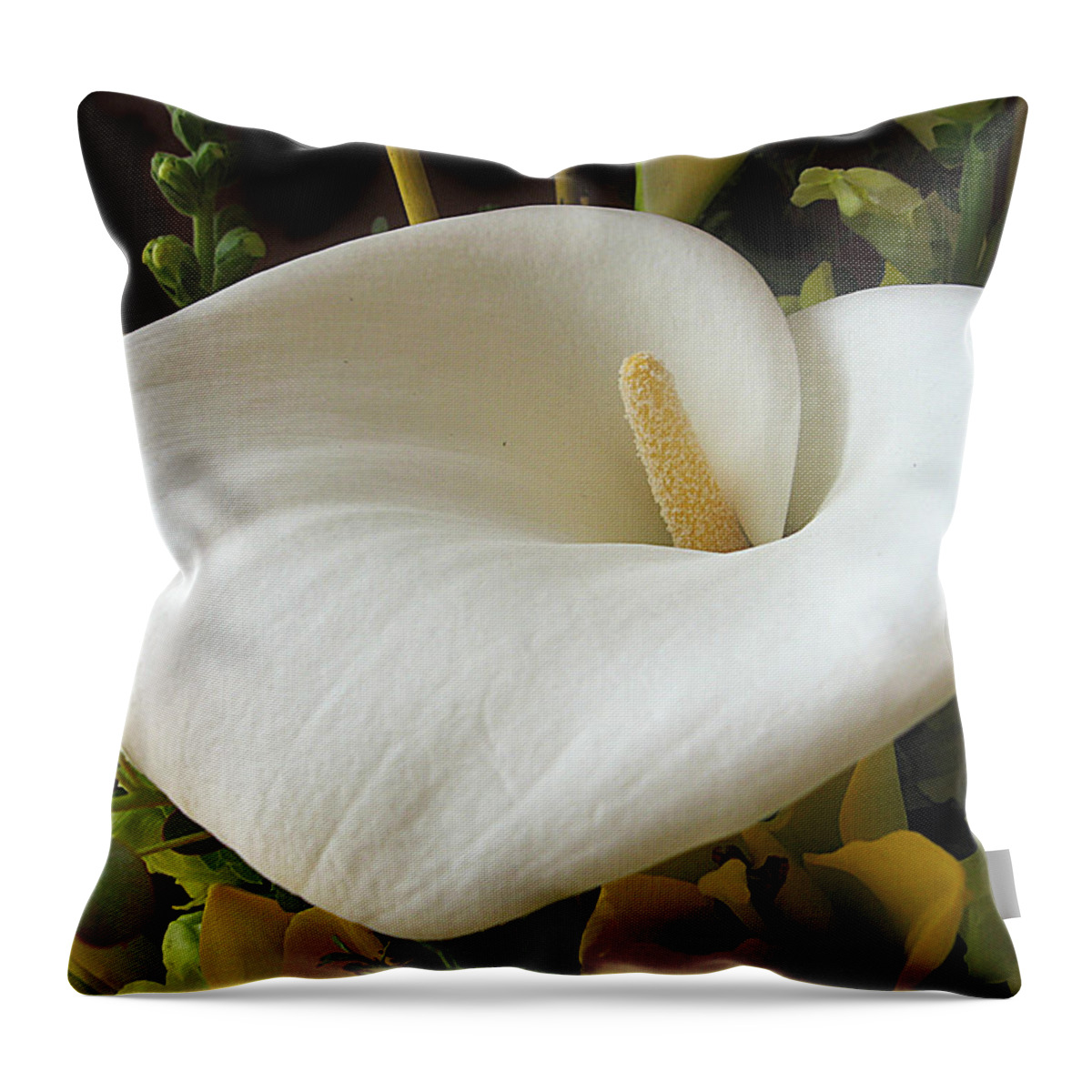 Flower Throw Pillow featuring the photograph Calla by Jessica Jenney