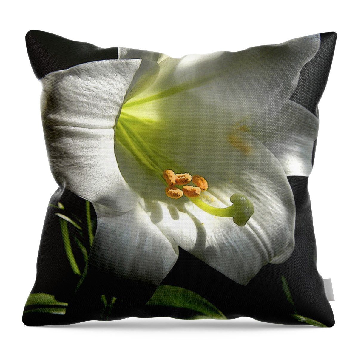 Easter Lily Throw Pillow featuring the photograph Easter Lily Alone by Gary Olsen-Hasek