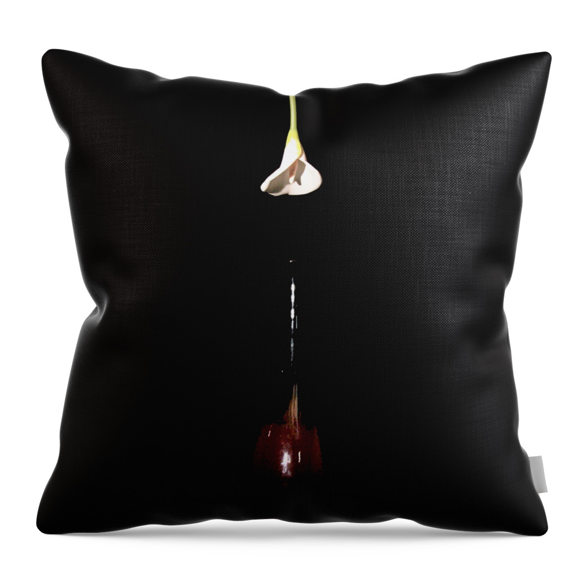 Photography Throw Pillow featuring the photograph Calla Lily and Vase by John Stuart Webbstock