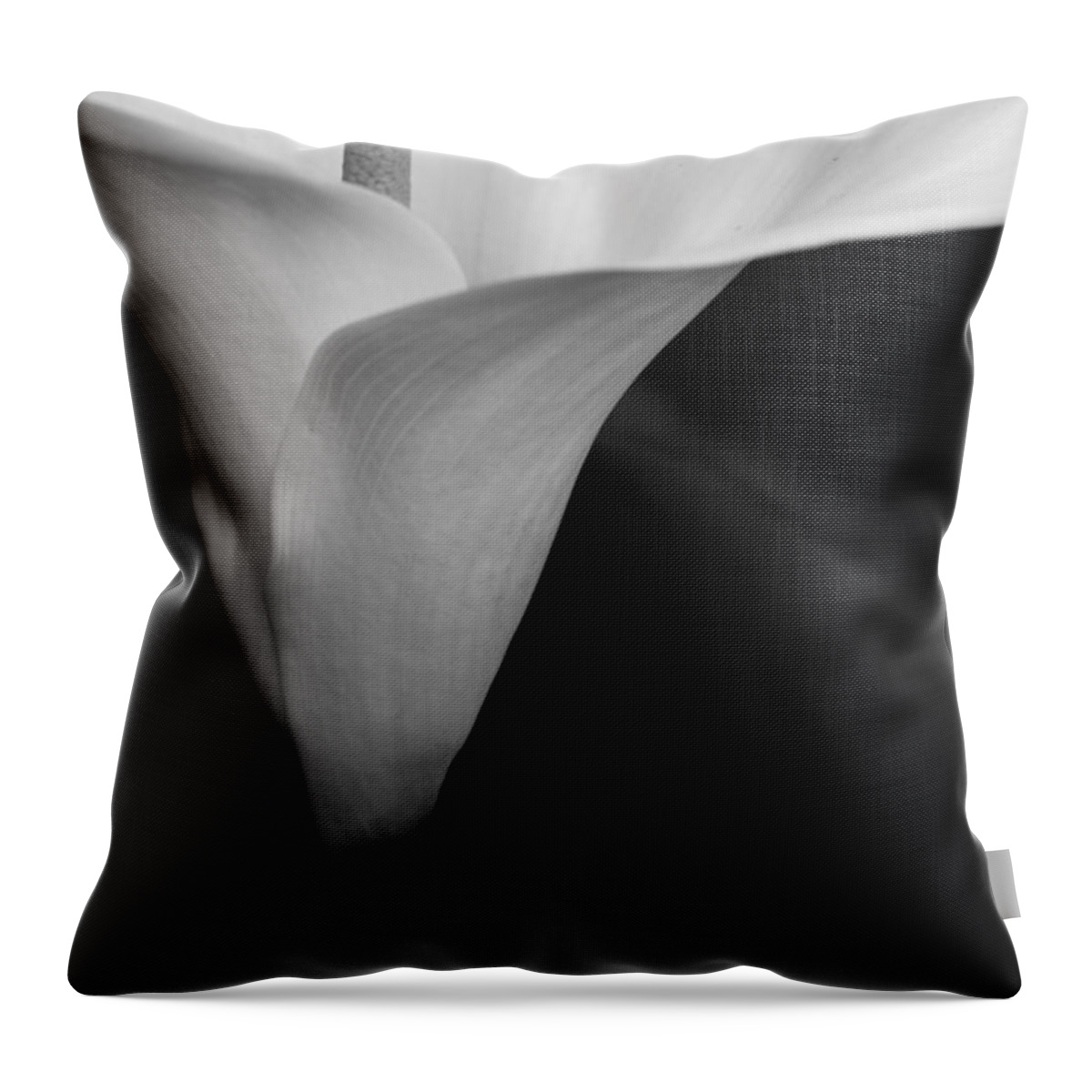 Landscapes Throw Pillow featuring the photograph Calla Lily Corner by John F Tsumas