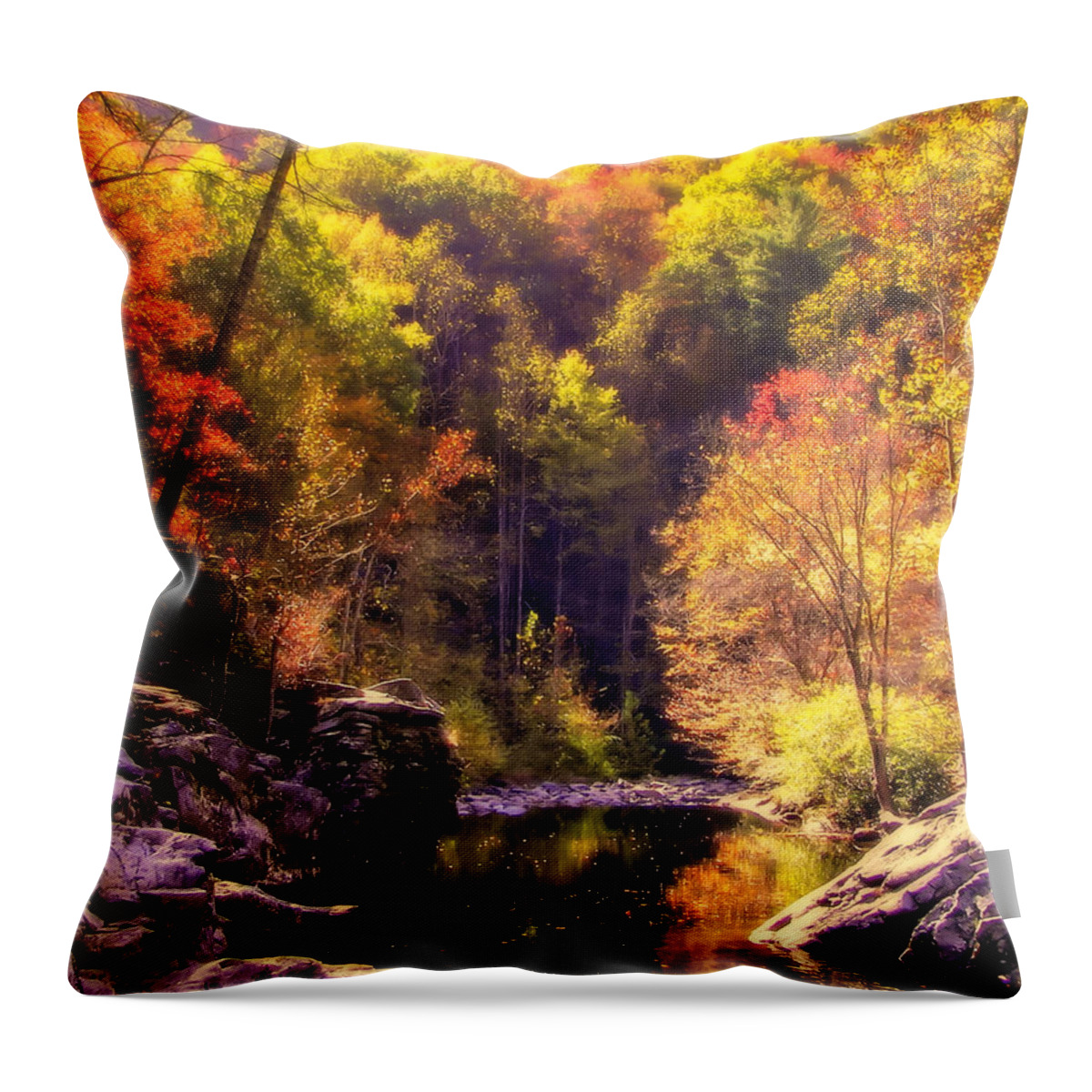Mountain Streams Throw Pillow featuring the photograph Calling Me Home by Karen Wiles