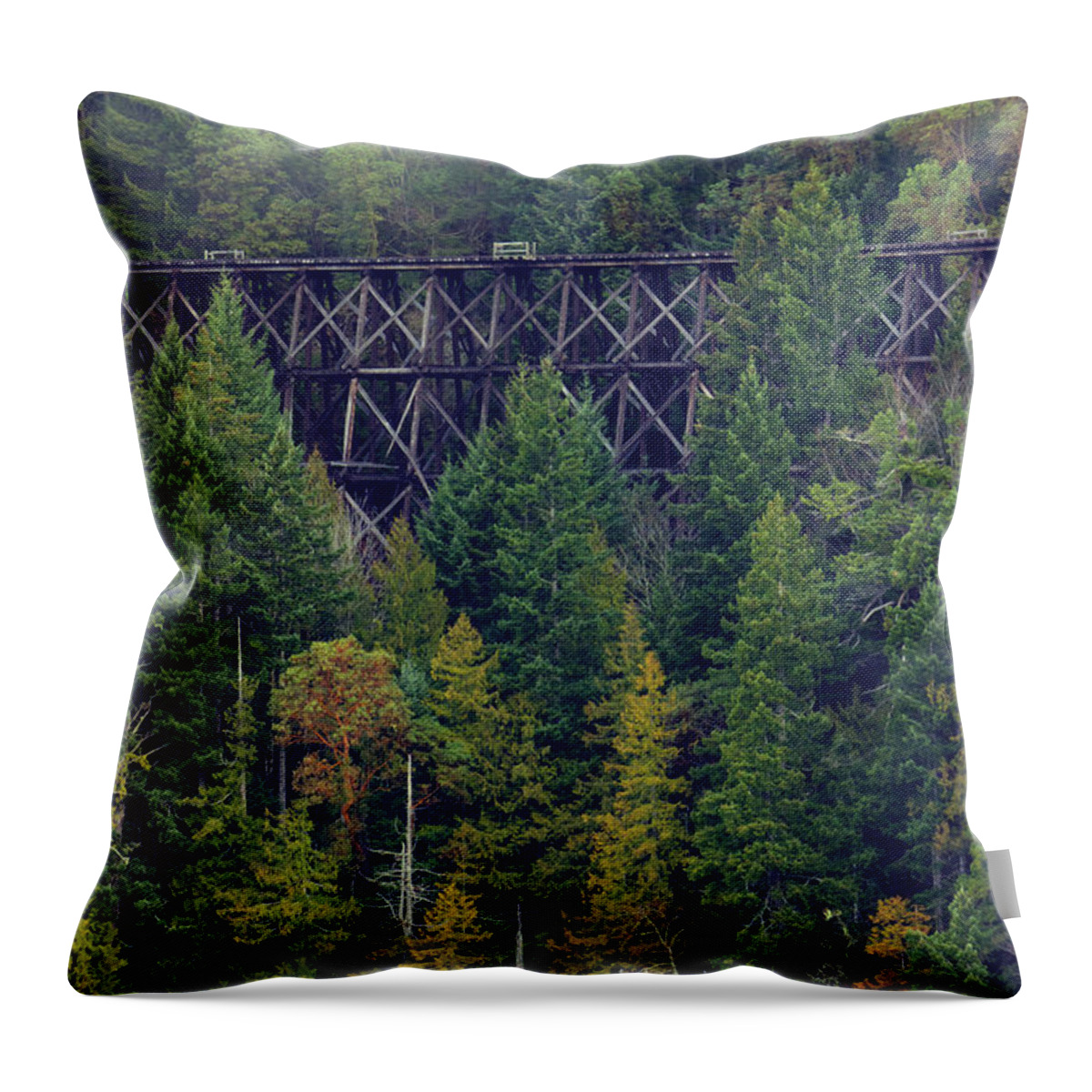 Forest Throw Pillow featuring the photograph Cameron Trestle by Randy Hall