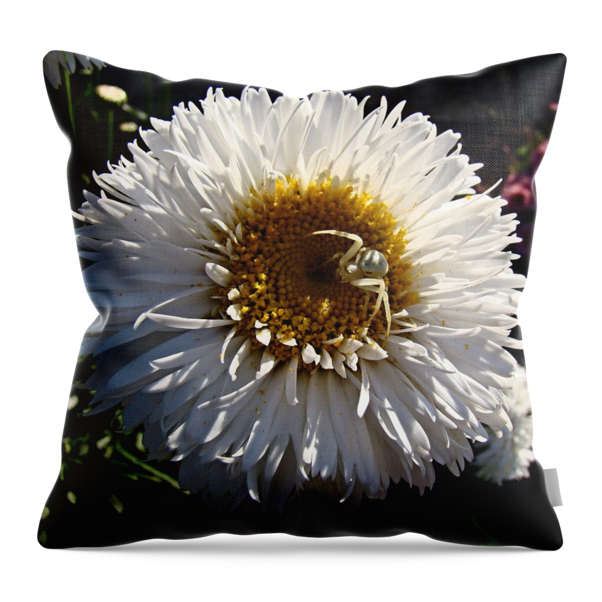 Garden Throw Pillow featuring the photograph Camo spider by Nick Kloepping