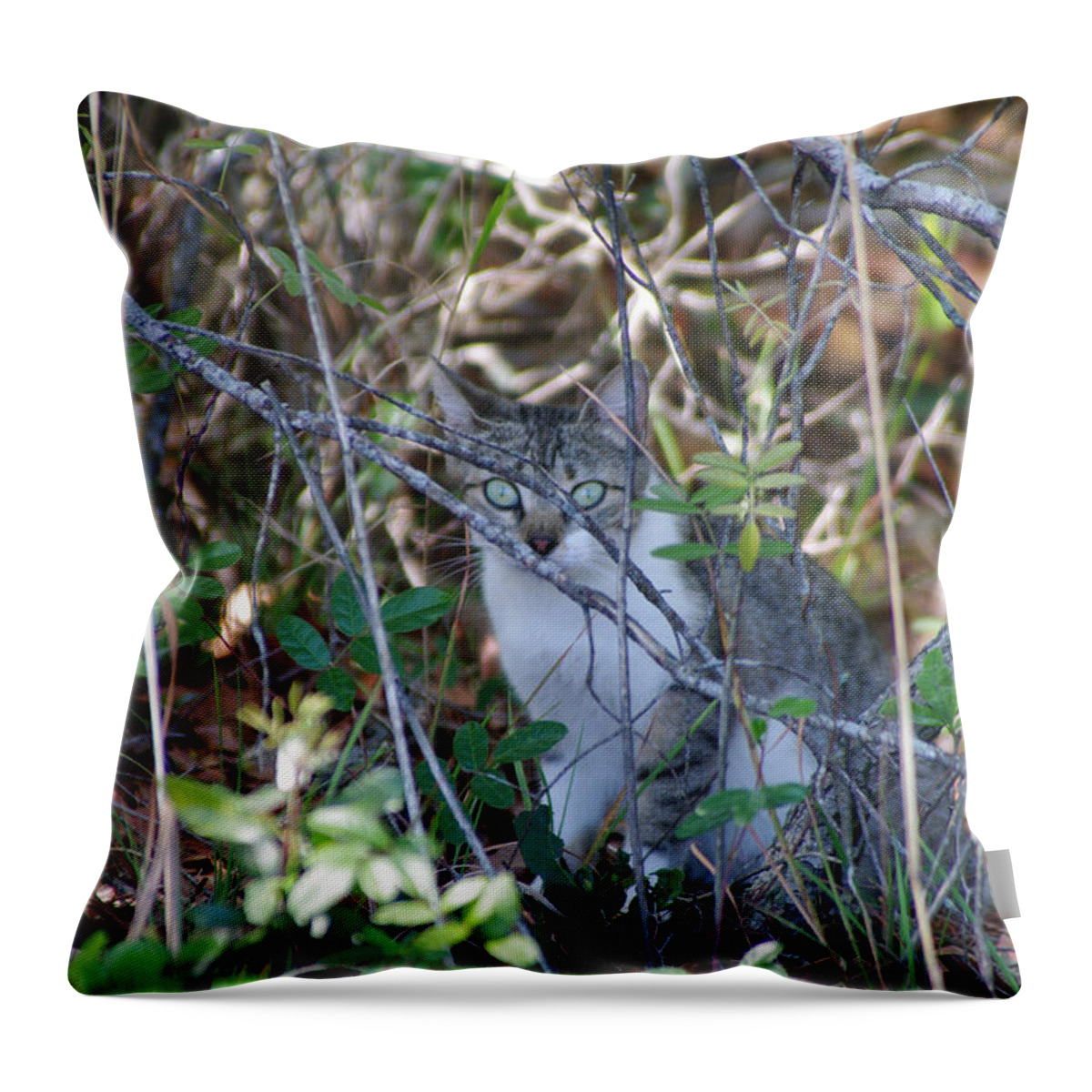 Cat Throw Pillow featuring the photograph Camouflage Cat by Greg Graham