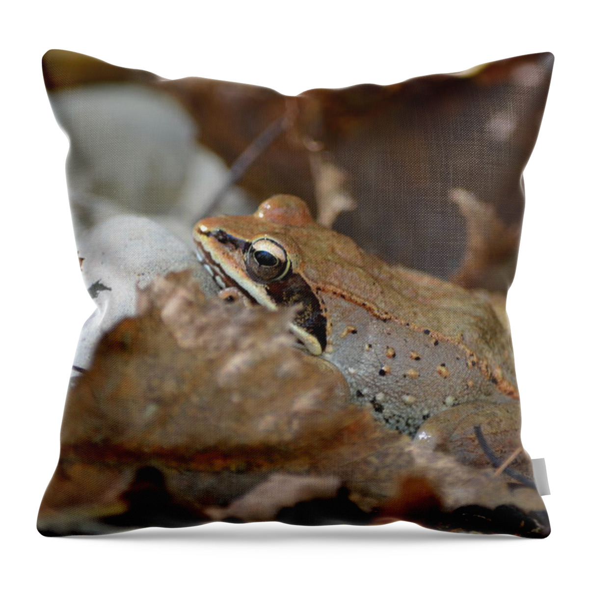 Nature Throw Pillow featuring the photograph Camouflage by James Petersen