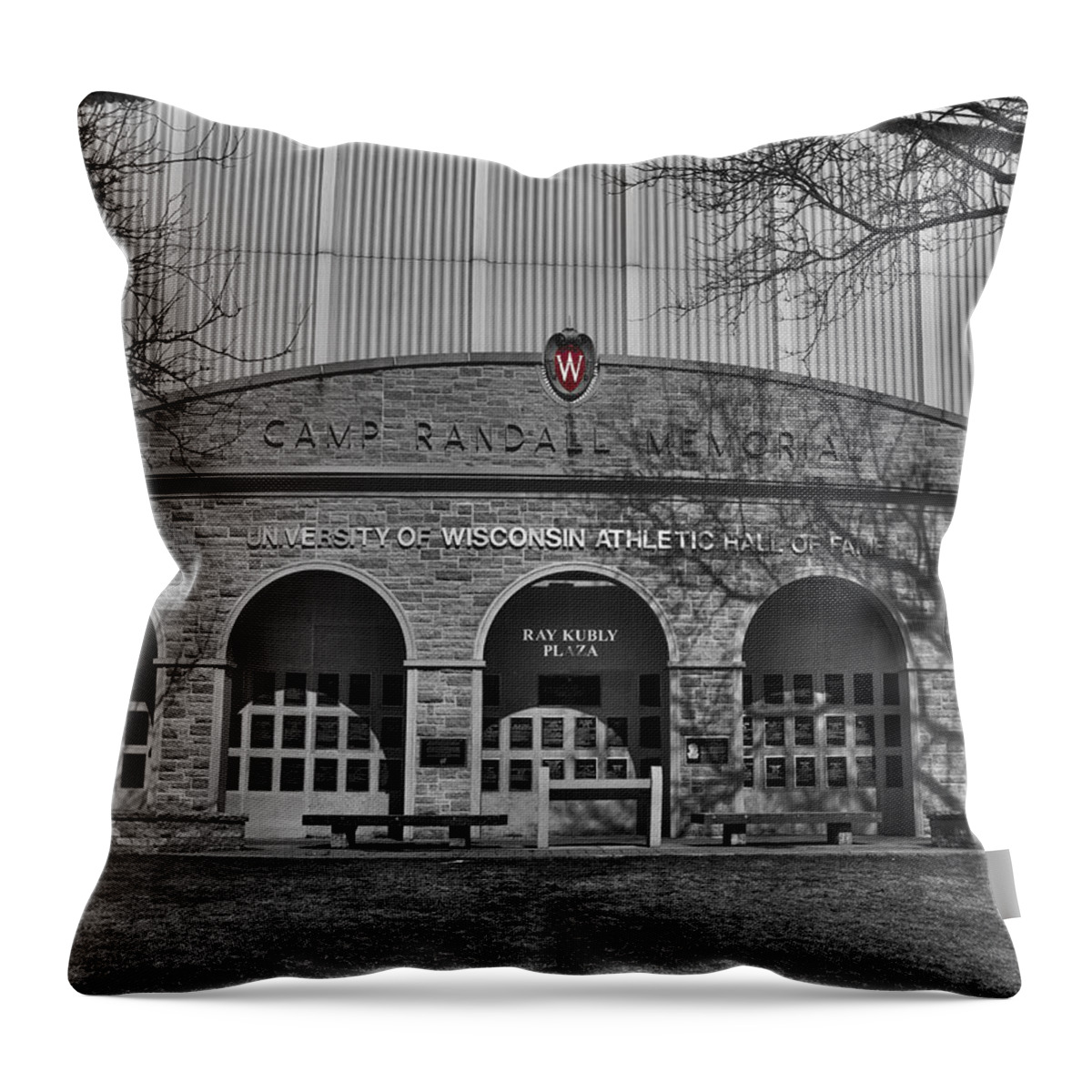 Badger Throw Pillow featuring the photograph Camp Randall - Madison #2 by Steven Ralser