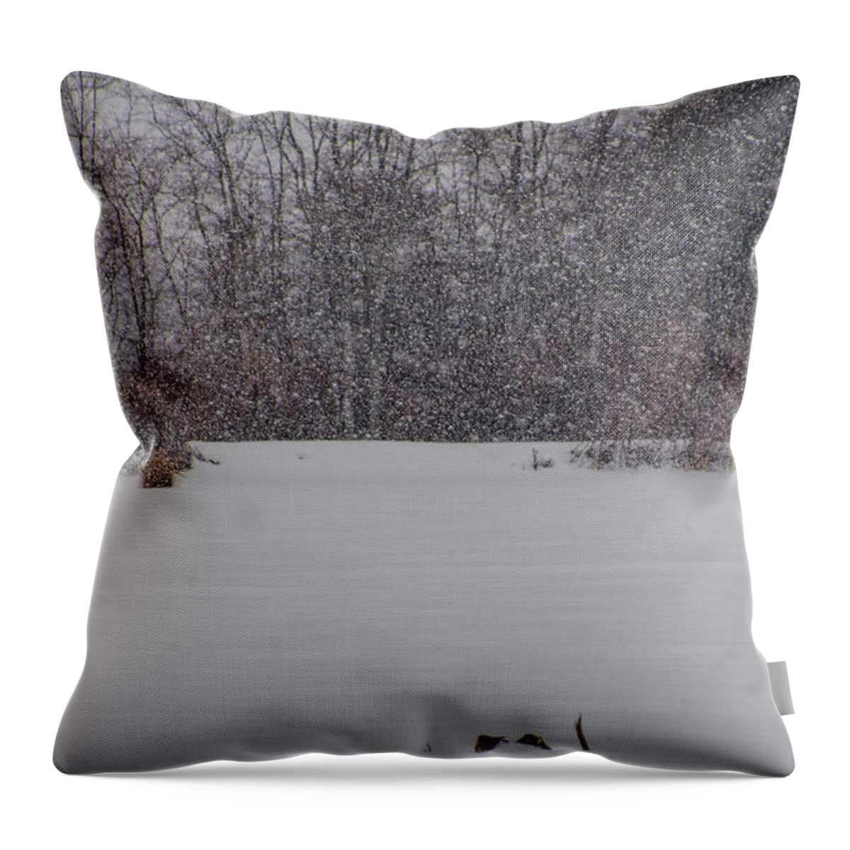 Canada Geese Throw Pillow featuring the photograph Canada Geese During a Snowfall by Beth Venner