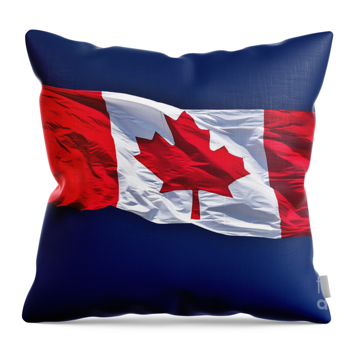 Flag Throw Pillow featuring the photograph Canadian flag by Elena Elisseeva