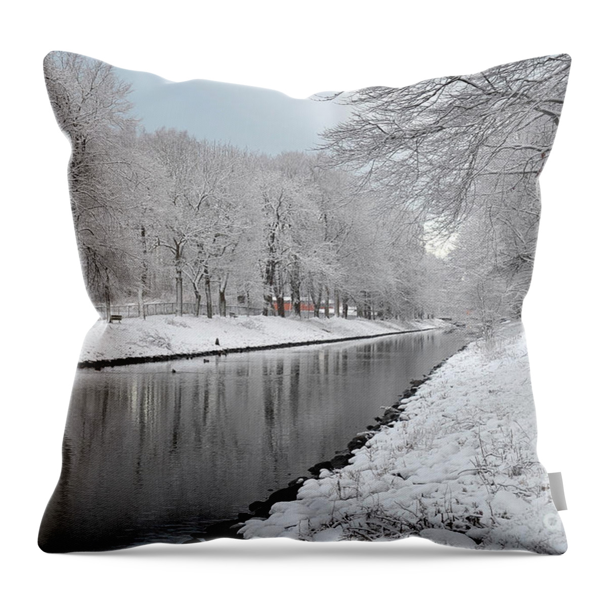 Canal Throw Pillow featuring the photograph Canal in Winter by Randi Grace Nilsberg