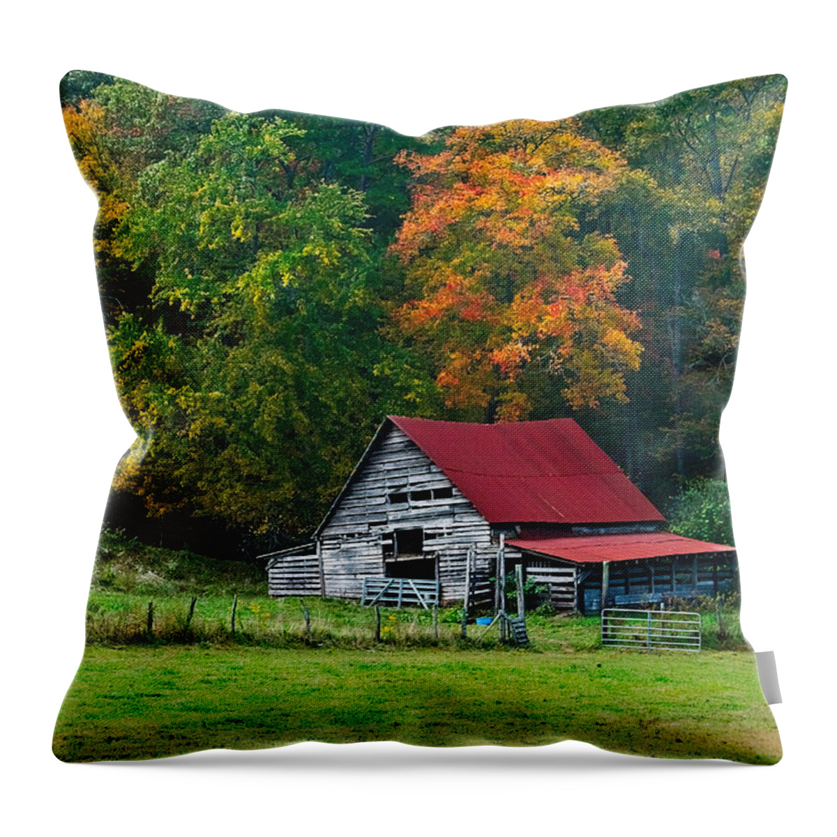 Appalachia Throw Pillow featuring the photograph Candy Mountain by Debra and Dave Vanderlaan