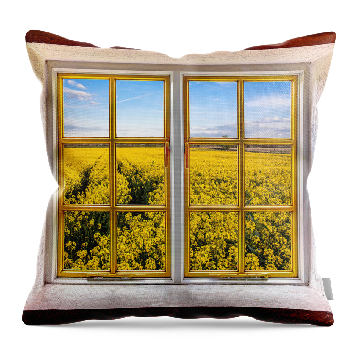 Architecture Throw Pillow featuring the photograph Canola Canola by Semmick Photo