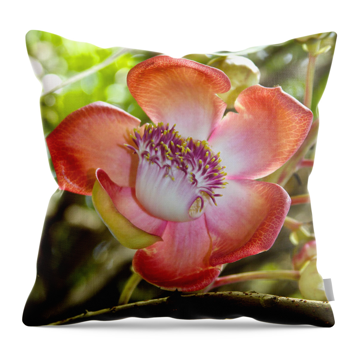Couroupita Guianensis Throw Pillow featuring the photograph Cannonball Tree Flower Hawaii by Venetia Featherstone-Witty