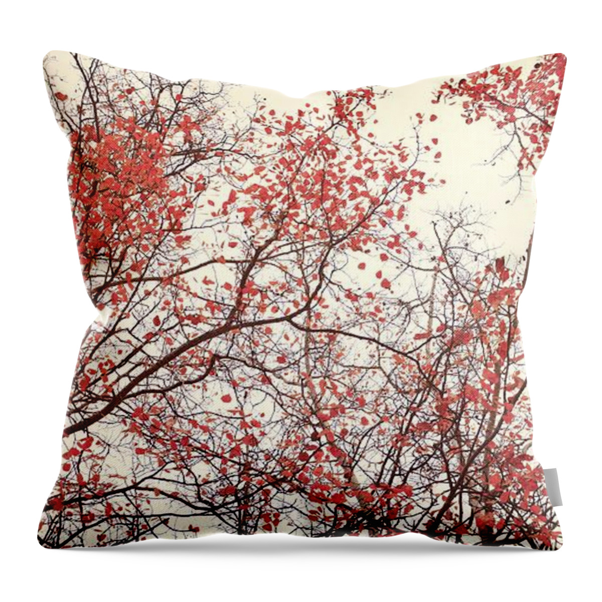 Red Throw Pillow featuring the photograph canopy trees II by Priska Wettstein