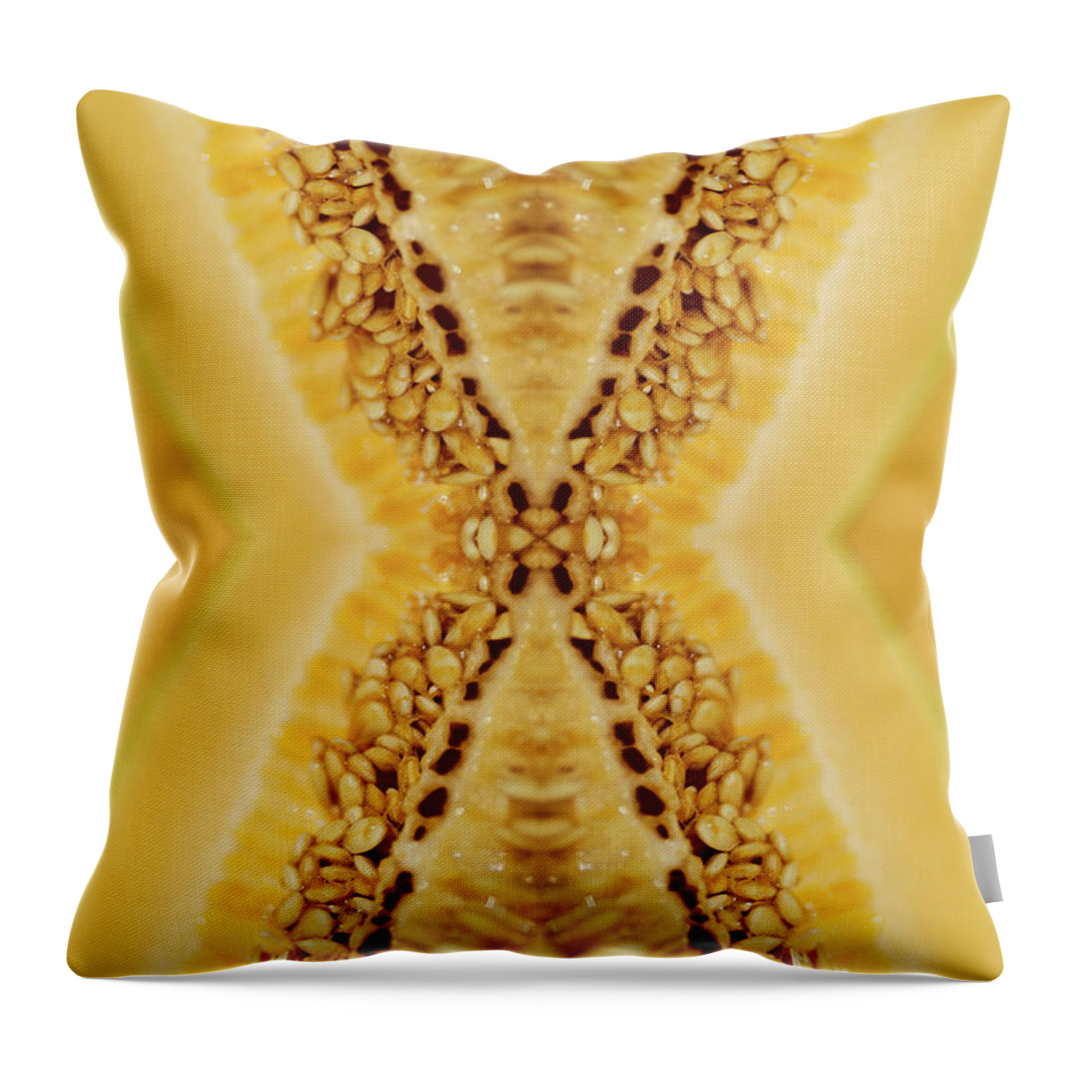 Cantaloupe Throw Pillow featuring the photograph Cantaloupe Seeds Inside A Freshly Cut by Silvia Otte