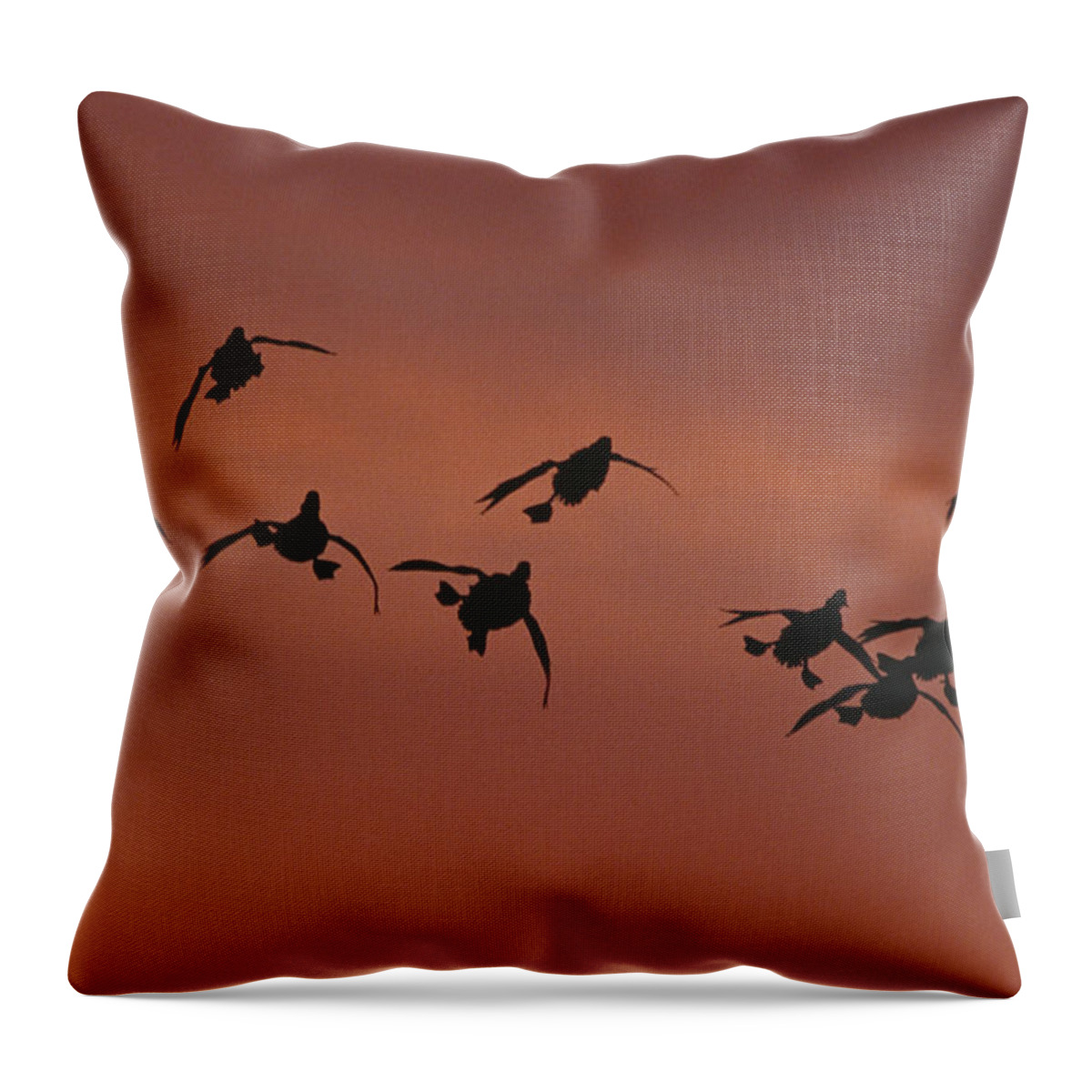 Feb0514 Throw Pillow featuring the photograph Canvasbacks Landing At Sunrise by Tom Vezo