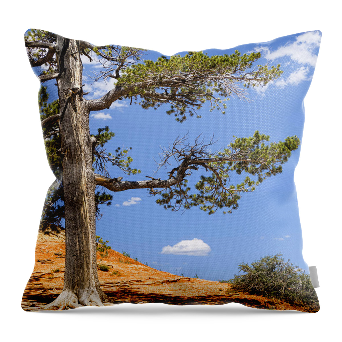 Desert Throw Pillow featuring the photograph Canyon Rim by Brenda Kean