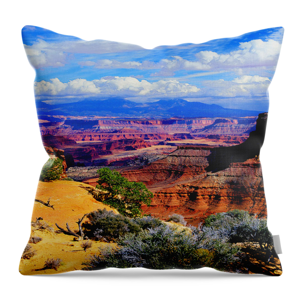 Western Landscape Throw Pillow featuring the photograph Canyonlands by Frank Houck