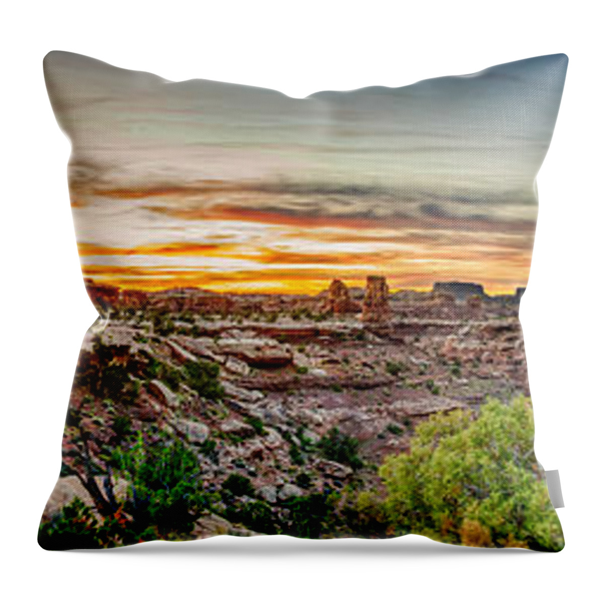 Pano Throw Pillow featuring the photograph Canyonlands National Park by Brett Engle