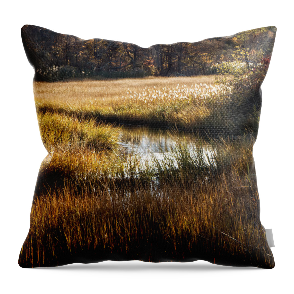 Cape Cod Throw Pillow featuring the photograph Cape Cod Marsh by Frank Winters