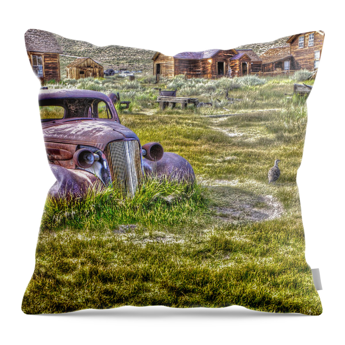 Abandoned Throw Pillow featuring the photograph Car at Bodie with Ducks by SC Heffner