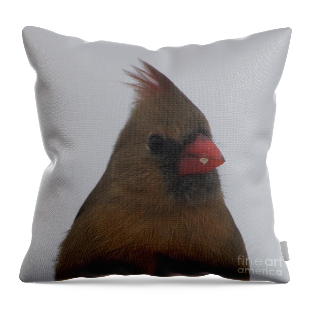 Photograph Throw Pillow featuring the photograph Cardinal Female - Ready for Spring by Robert E Alter Reflections of Infinity