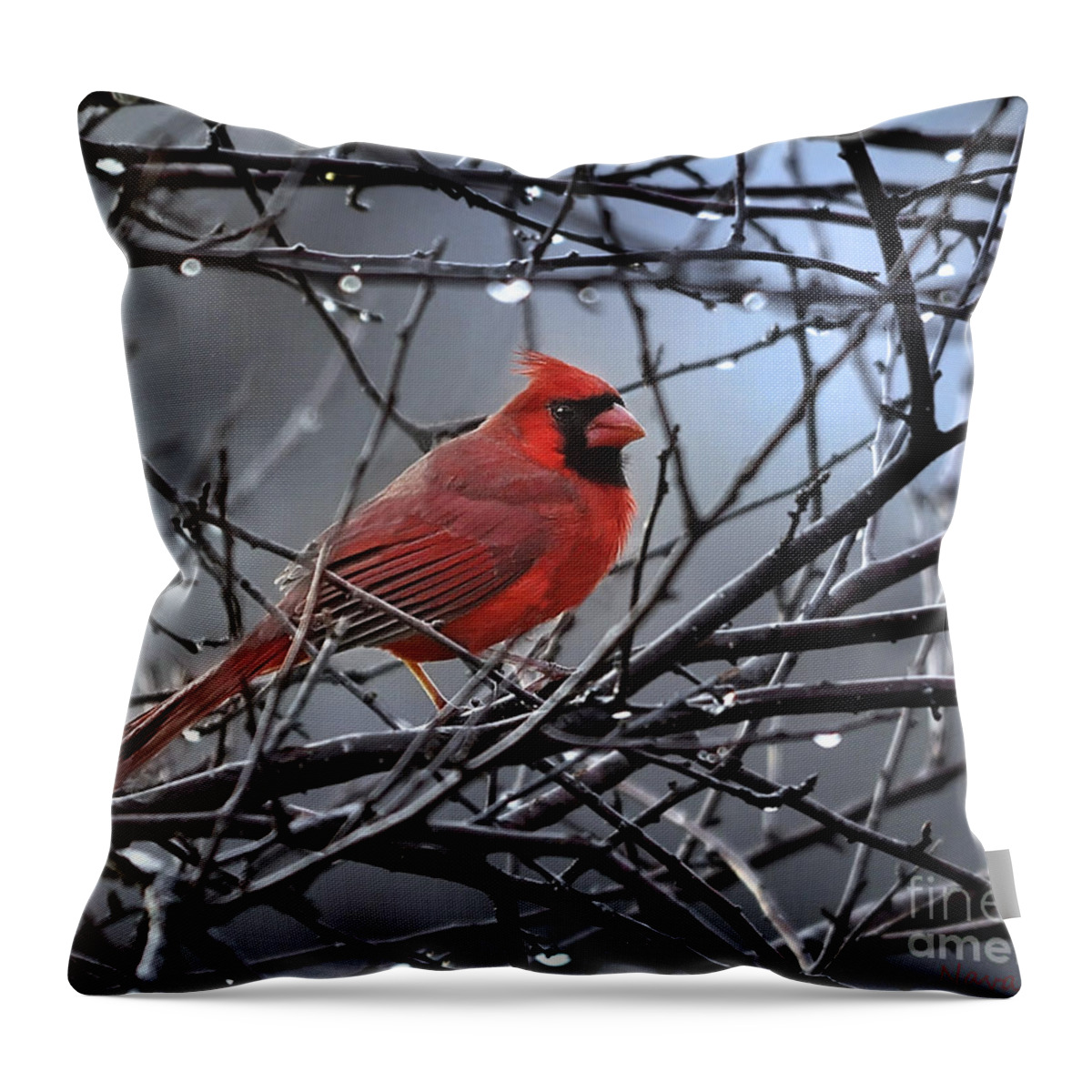 Nature Throw Pillow featuring the photograph Cardinal in the Rain  by Nava Thompson
