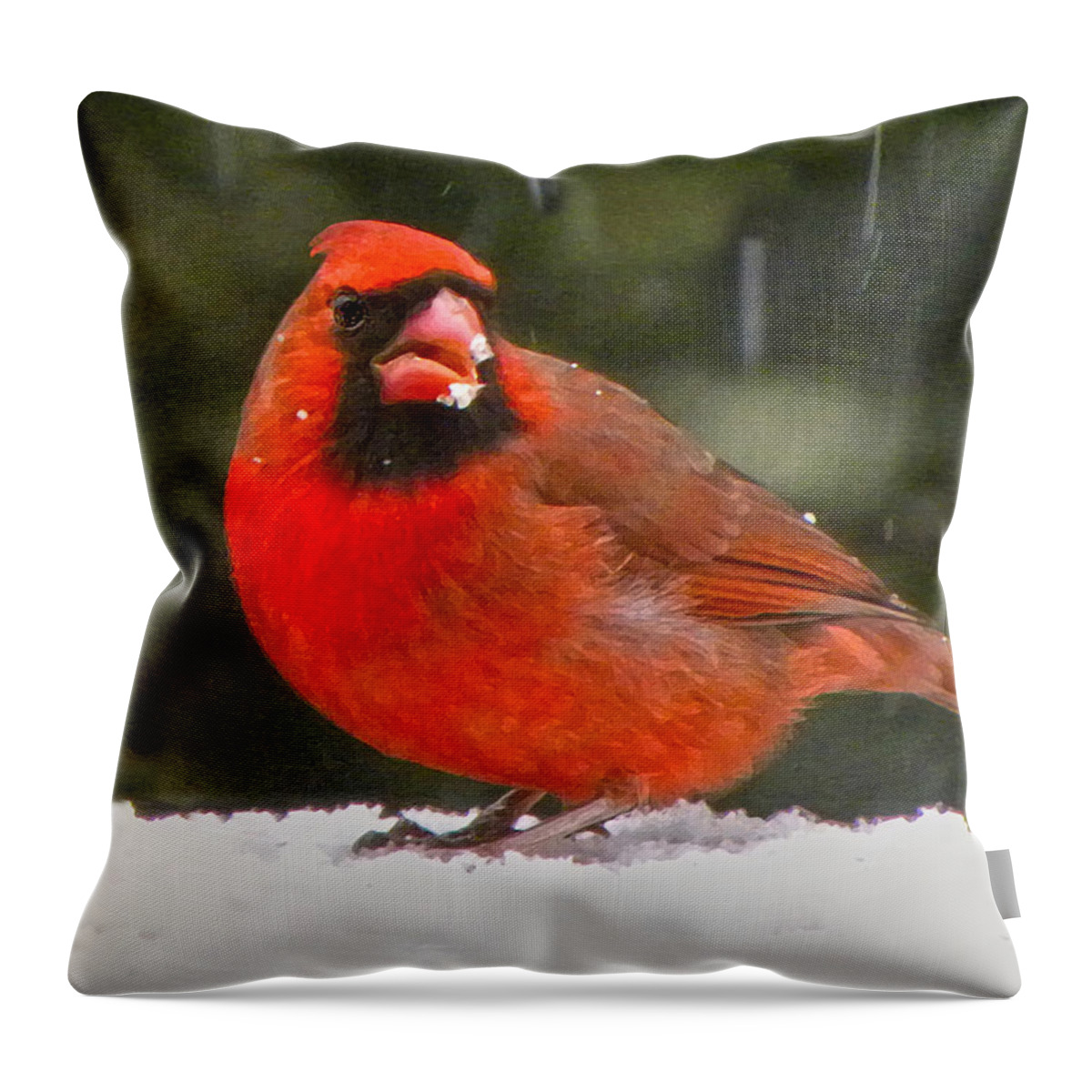 Northern Cardinal Throw Pillow featuring the photograph Cardinal In The Snowstorm by Sandi OReilly