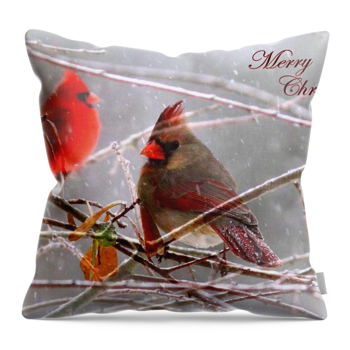 Cardinal Throw Pillow featuring the photograph Cardinals - Male and Female - IMG_003CARD by Travis Truelove