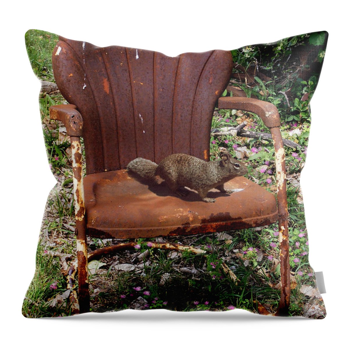 Careful Where You Sit! Throw Pillow featuring the photograph Careful Where You Sit by Doug Kreuger