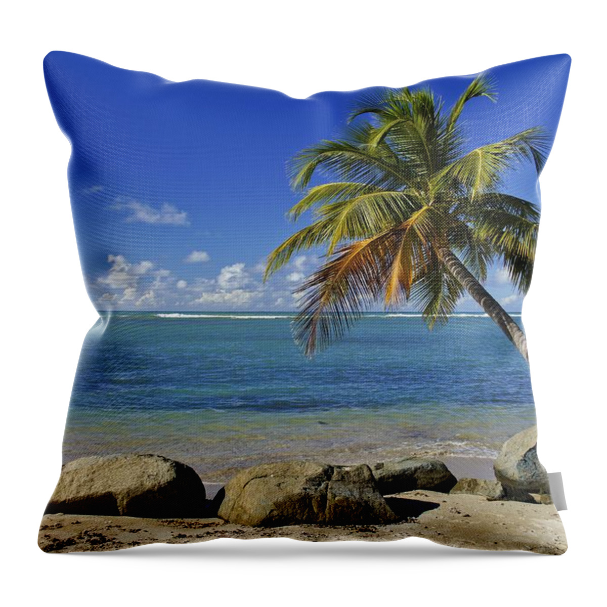 Palm Throw Pillow featuring the photograph Caribbean Beauty by Brian Kamprath