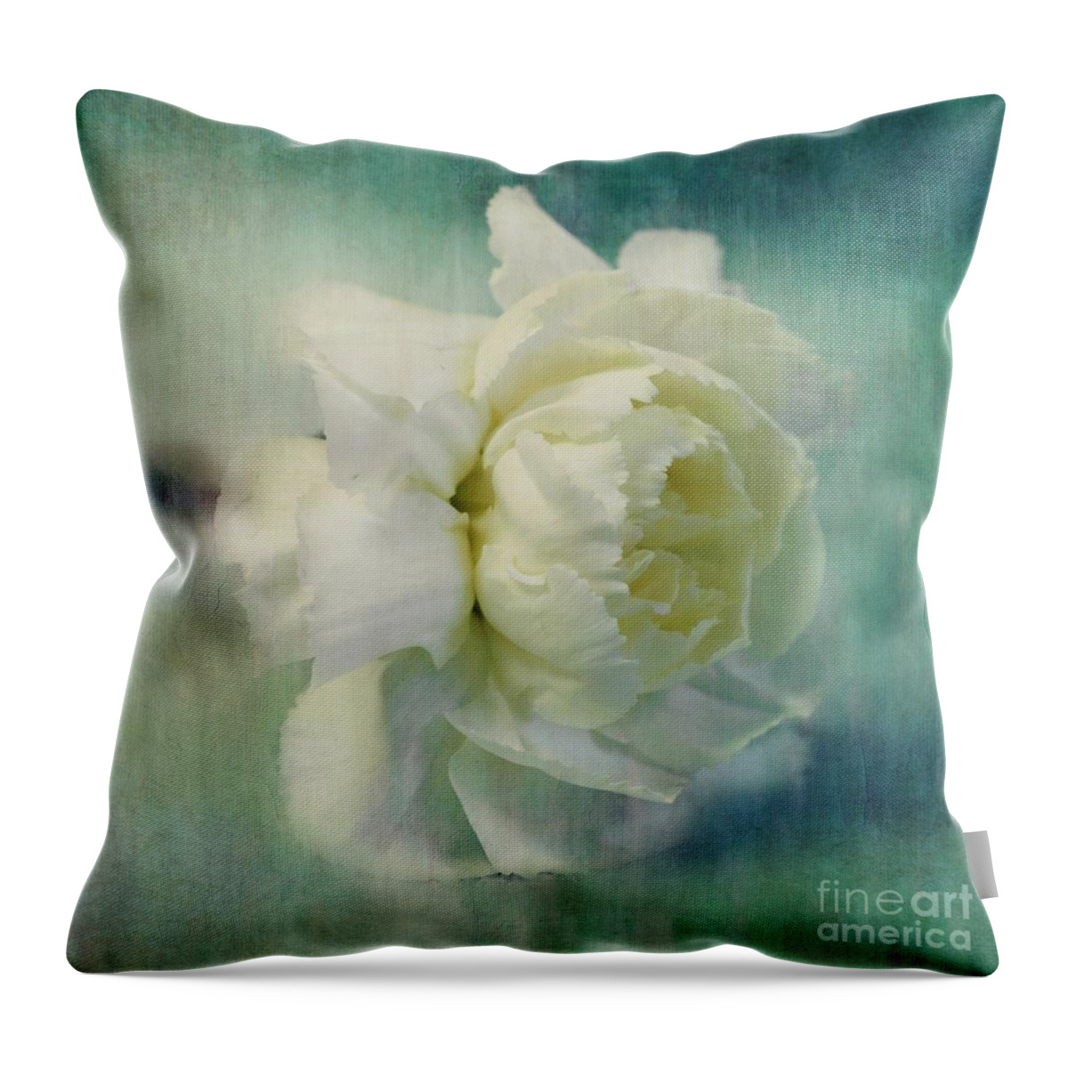 Carnation Throw Pillow featuring the photograph Carnation by Priska Wettstein