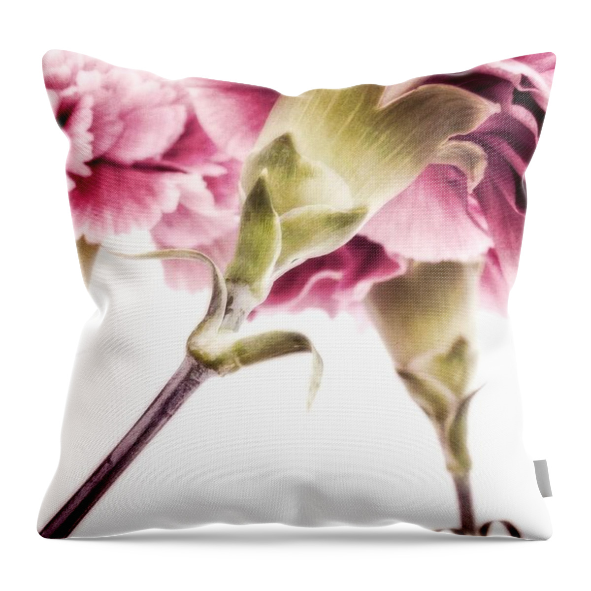 Modern Throw Pillow featuring the photograph Carnations by Priska Wettstein