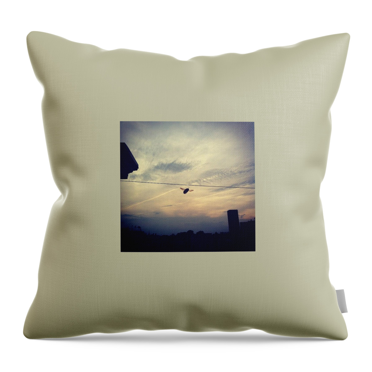 Bee Throw Pillow featuring the photograph Carpenter Bees Abound On The Deck by Katie Cupcakes