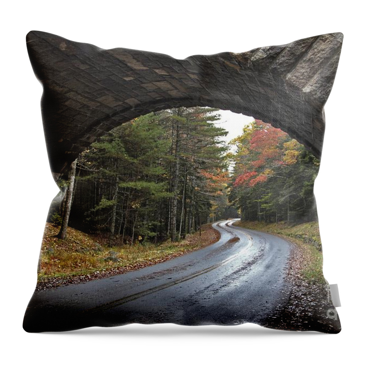 Acadia National Park Throw Pillow featuring the photograph Carriage Bridge by Karin Pinkham