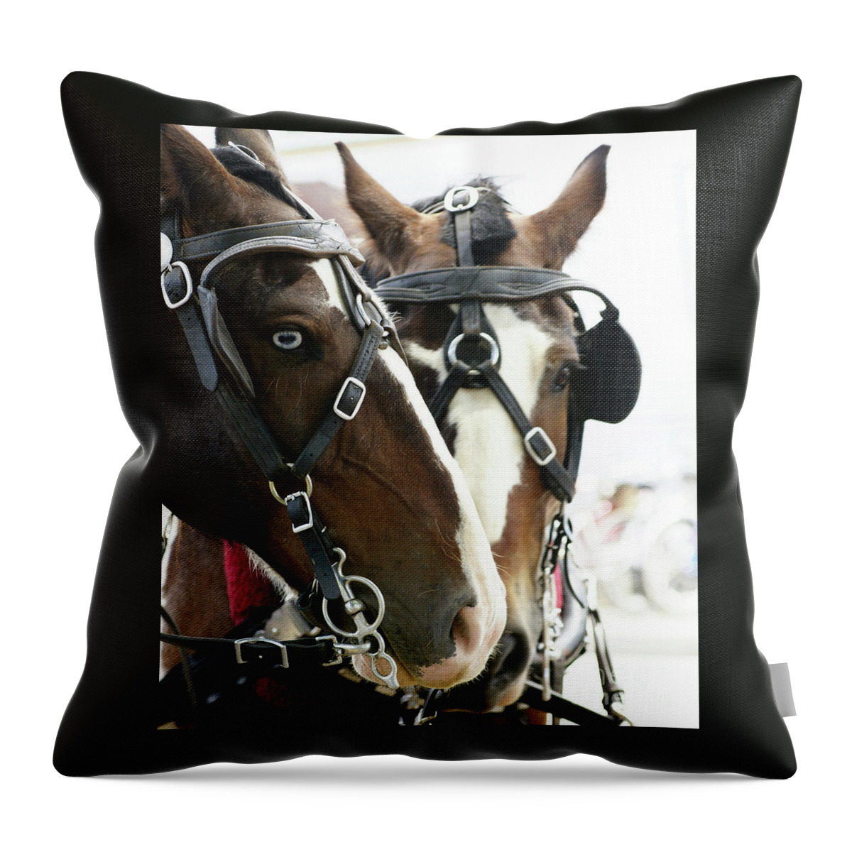 Carriage Throw Pillow featuring the photograph Carriage Horse - 4 by Linda Shafer